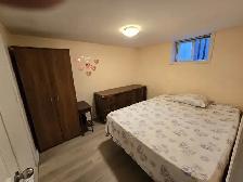 Studio Bsmt apt rent Near Warden TTC Station available July 1st - Photo 5