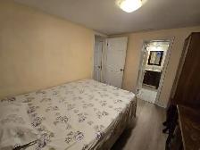 Studio Bsmt apt rent Near Warden TTC Station available July 1st - Photo 6