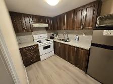 Studio Bsmt apt rent Near Warden TTC Station available July 1st - Photo 9