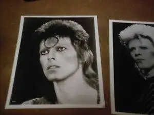 David Bowie Photos pictures