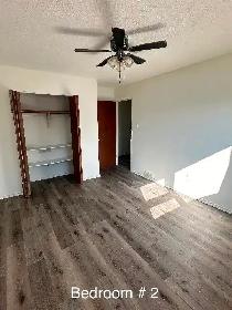 BRIGHT & SPACIOUS ROOMS FOR RENT (FEMALES ONLY) – MAPLES AREA - Photo 6