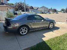 2004  Mustang GT - Photo 3