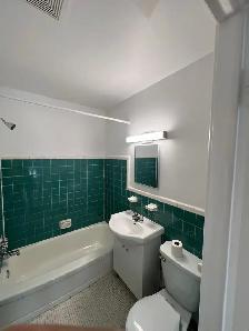 - Exclusive Large and beautiful 3 1/2 Dorval with skylights - Photo 10