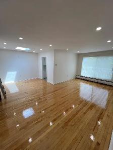 - Exclusive Large and beautiful 3 1/2 Dorval with skylights - Photo 15