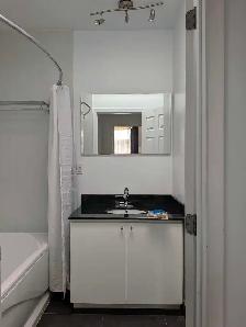 3 chambres,meublé,éclairé,chauffé,WIFI,métro JOLIETTE,terrasse - Photo 4