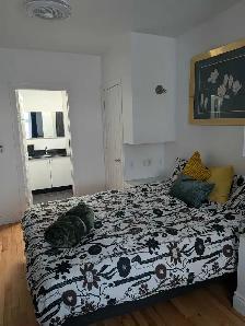 3 chambres,meublé,éclairé,chauffé,WIFI,métro JOLIETTE,terrasse - Photo 10