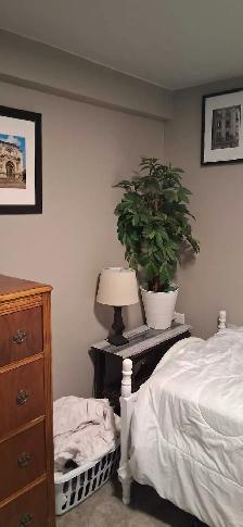 Bachelor Suite - $1000 EVERYTHING INCLUDED! - Photo 10