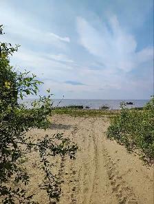 Solar Powered Lake Cabin - Photo 2