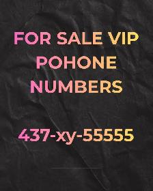 Be unforgettable with a 416 VIP memorable number