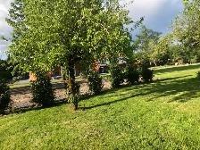 RV site for rent - Photo 2