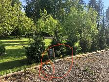 RV site for rent - Photo 3