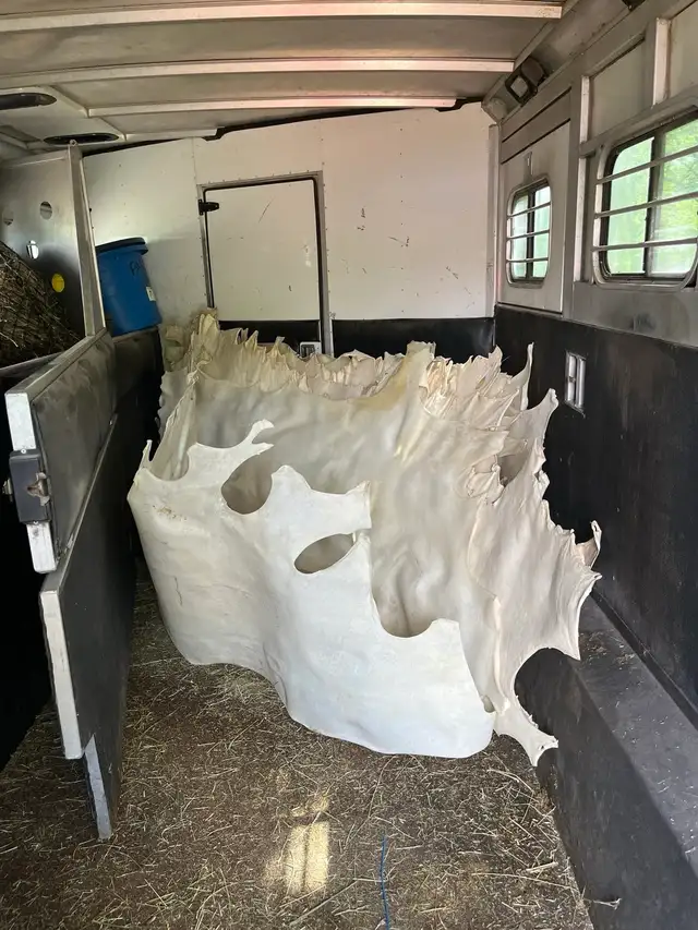 6-10oz Rawhide sides