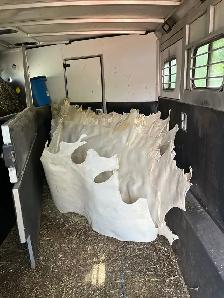 6-10oz Rawhide sides