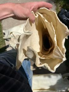 6-10oz Rawhide sides - Photo 3