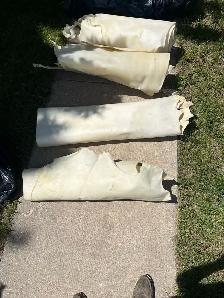 6-10oz Rawhide sides - Photo 4