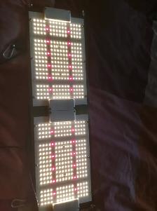 Led Grow Lights For Sale Used 1 season 240Watts - Photo 6