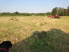 SQUARE BALER FOR SALE - Photo 6