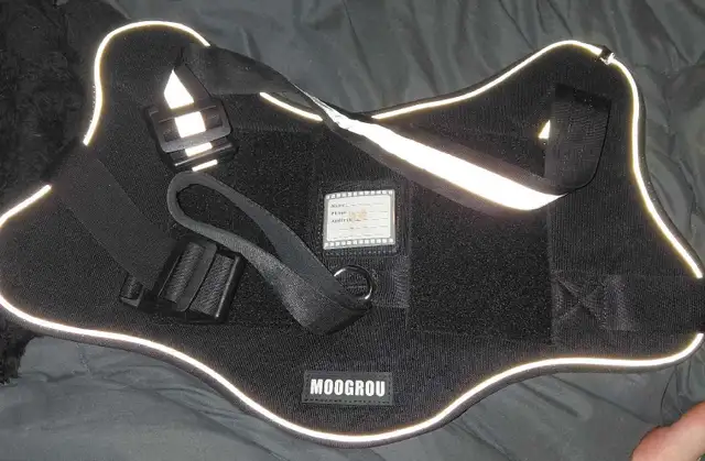 Dog Harness XL Brand New
