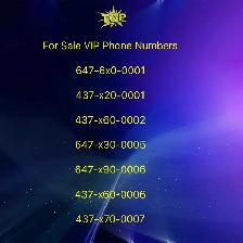 Unlock Your Business Potential with 416/647/905 Numbers