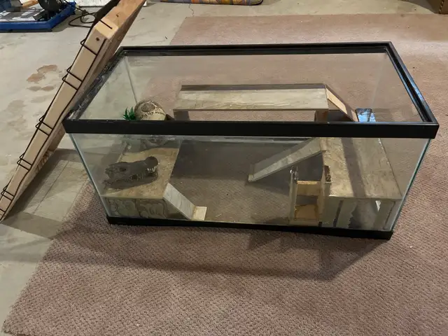 Terrarium for sale