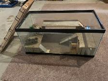 Terrarium for sale