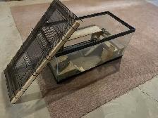 Terrarium for sale - Photo 2