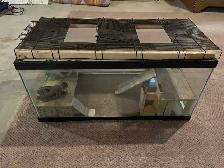 Terrarium for sale - Photo 3
