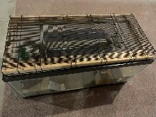 Terrarium for sale - Photo 4