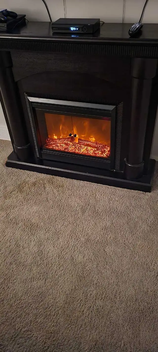 Electric Fire place