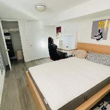 Beautiful Basement Room - Lakeshore / Long Branch - Photo 2