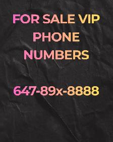 Your Perfect Connection Awaits: 416/647/905 Numbers for Sale!