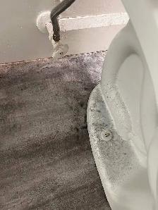 Post-Construction Cleaning - Photo 3