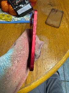 iPhone 13 Product Red 128gb - Photo 4