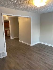 Whole home for rent - Photo 2