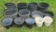 Pots for Plants