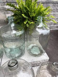 10 Glass Carboys. (Please Ad Info) - Photo 5