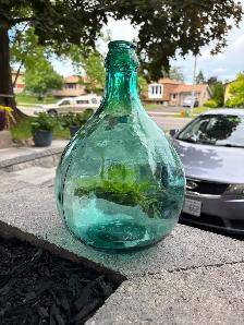 Cute Small Carboy - Photo 5