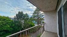 Studio Apartment for Rent - 3225 Eldon Place - Photo 9