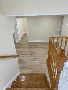Two Bedroom Basement Apartment (Leslie and Finch) - Photo 3