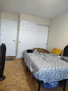 Single room for rent - Donmills and Sheppard