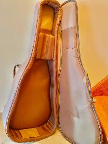 SEAGULL Coastline Momentum HG GUITAR  with electronics, CASE ! - Photo 9