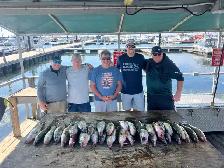 LAKE ERIE WALLEYE FISHING CHARTER - Photo 2