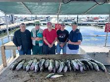LAKE ERIE WALLEYE FISHING CHARTER - Photo 4