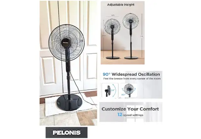 FAN