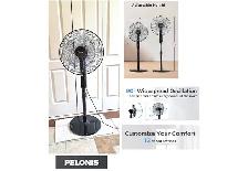FAN
