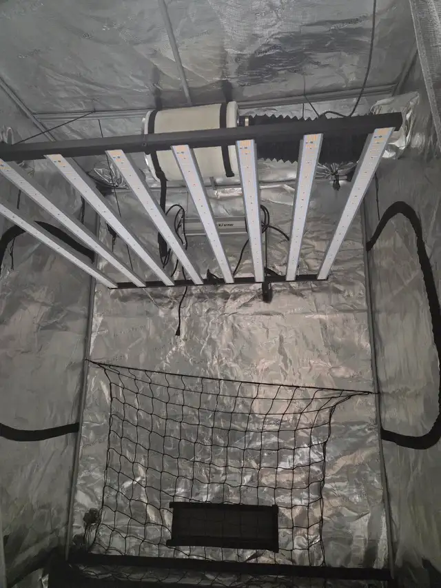 Grow light