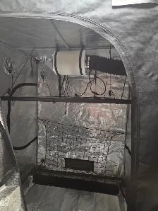 Grow tent - Photo 2