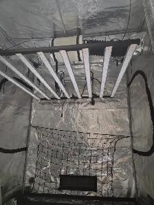 Grow tent - Photo 3