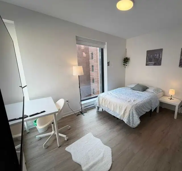 Short Term Rental Wanted (2-3 Months)