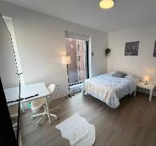 Short Term Rental Wanted (2-3 Months)